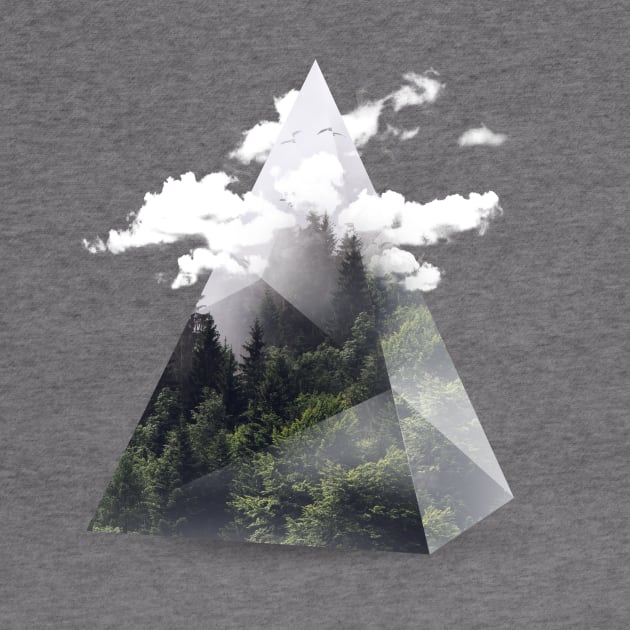 Forest Triangle by astronaut